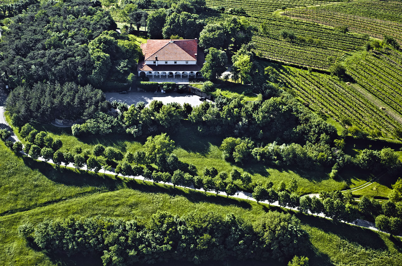 Dvorec Zemono - kontakt